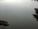 ./images/koeye/fitz-hugh/20200913/fitz-hugh20200913_150501.jpg