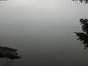 ./images/koeye/fitz-hugh/20200913/fitz-hugh20200913_151001.jpg