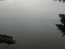 ./images/koeye/fitz-hugh/20200913/fitz-hugh20200913_151501.jpg