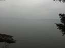 ./images/koeye/fitz-hugh/20200913/fitz-hugh20200913_152001.jpg