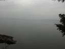 ./images/koeye/fitz-hugh/20200913/fitz-hugh20200913_152501.jpg