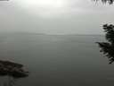 ./images/koeye/fitz-hugh/20200913/fitz-hugh20200913_154001.jpg