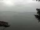 ./images/koeye/fitz-hugh/20200913/fitz-hugh20200913_154501.jpg