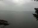 ./images/koeye/fitz-hugh/20200913/fitz-hugh20200913_155001.jpg