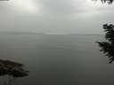 ./images/koeye/fitz-hugh/20200913/fitz-hugh20200913_155501.jpg