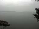 ./images/koeye/fitz-hugh/20200913/fitz-hugh20200913_161002.jpg