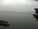 ./images/koeye/fitz-hugh/20200913/fitz-hugh20200913_161502.jpg