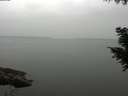 ./images/koeye/fitz-hugh/20200913/fitz-hugh20200913_162002.jpg