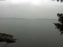 ./images/koeye/fitz-hugh/20200913/fitz-hugh20200913_162502.jpg