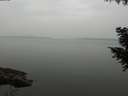 ./images/koeye/fitz-hugh/20200913/fitz-hugh20200913_163502.jpg
