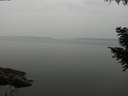 ./images/koeye/fitz-hugh/20200913/fitz-hugh20200913_164002.jpg