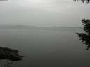 ./images/koeye/fitz-hugh/20200913/fitz-hugh20200913_165502.jpg