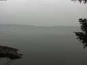 ./images/koeye/fitz-hugh/20200913/fitz-hugh20200913_171002.jpg
