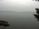 ./images/koeye/fitz-hugh/20200913/fitz-hugh20200913_171501.jpg
