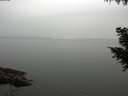 ./images/koeye/fitz-hugh/20200913/fitz-hugh20200913_173501.jpg