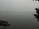 ./images/koeye/fitz-hugh/20200913/fitz-hugh20200913_174001.jpg