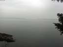 ./images/koeye/fitz-hugh/20200913/fitz-hugh20200913_175501.jpg