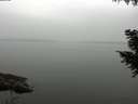 ./images/koeye/fitz-hugh/20200913/fitz-hugh20200913_180001.jpg