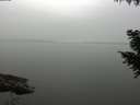 ./images/koeye/fitz-hugh/20200913/fitz-hugh20200913_180501.jpg