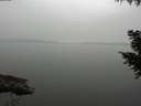./images/koeye/fitz-hugh/20200913/fitz-hugh20200913_181001.jpg