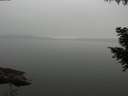 ./images/koeye/fitz-hugh/20200913/fitz-hugh20200913_181501.jpg