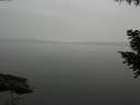 ./images/koeye/fitz-hugh/20200913/fitz-hugh20200913_182501.jpg