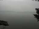 ./images/koeye/fitz-hugh/20200913/fitz-hugh20200913_183501.jpg