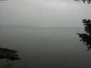 ./images/koeye/fitz-hugh/20200913/fitz-hugh20200913_184001.jpg