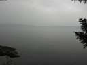 ./images/koeye/fitz-hugh/20200913/fitz-hugh20200913_184501.jpg
