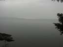 ./images/koeye/fitz-hugh/20200913/fitz-hugh20200913_185001.jpg