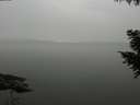 ./images/koeye/fitz-hugh/20200913/fitz-hugh20200913_185501.jpg
