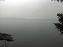 ./images/koeye/fitz-hugh/20200913/fitz-hugh20200913_190501.jpg