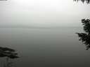 ./images/koeye/fitz-hugh/20200913/fitz-hugh20200913_191501.jpg