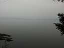 ./images/koeye/fitz-hugh/20200913/fitz-hugh20200913_192502.jpg