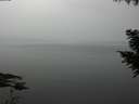 ./images/koeye/fitz-hugh/20200913/fitz-hugh20200913_193502.jpg