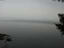 ./images/koeye/fitz-hugh/20200913/fitz-hugh20200913_194001.jpg