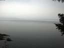 ./images/koeye/fitz-hugh/20200913/fitz-hugh20200913_194502.jpg