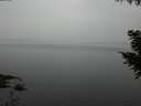 ./images/koeye/fitz-hugh/20200913/fitz-hugh20200913_195002.jpg