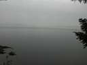 ./images/koeye/fitz-hugh/20200913/fitz-hugh20200913_195502.jpg