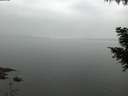 ./images/koeye/fitz-hugh/20200913/fitz-hugh20200913_200502.jpg