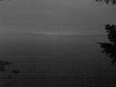 ./images/koeye/fitz-hugh/20200913/fitz-hugh20200913_202002.jpg