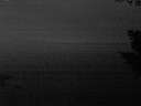 ./images/koeye/fitz-hugh/20200913/fitz-hugh20200913_202502.jpg