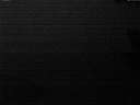 ./images/koeye/fitz-hugh/20200914/fitz-hugh20200914_062502.jpg