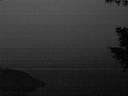./images/koeye/fitz-hugh/20200914/fitz-hugh20200914_063002.jpg