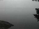 ./images/koeye/fitz-hugh/20200914/fitz-hugh20200914_063502.jpg
