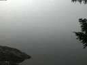 ./images/koeye/fitz-hugh/20200914/fitz-hugh20200914_064002.jpg