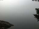 ./images/koeye/fitz-hugh/20200914/fitz-hugh20200914_065002.jpg