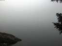 ./images/koeye/fitz-hugh/20200914/fitz-hugh20200914_065502.jpg