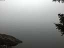 ./images/koeye/fitz-hugh/20200914/fitz-hugh20200914_070002.jpg
