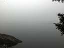 ./images/koeye/fitz-hugh/20200914/fitz-hugh20200914_070502.jpg